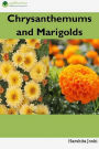 Chrysanthemums and Marigolds