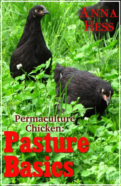 Pasture Basics (Permaculture Chicken, #2)