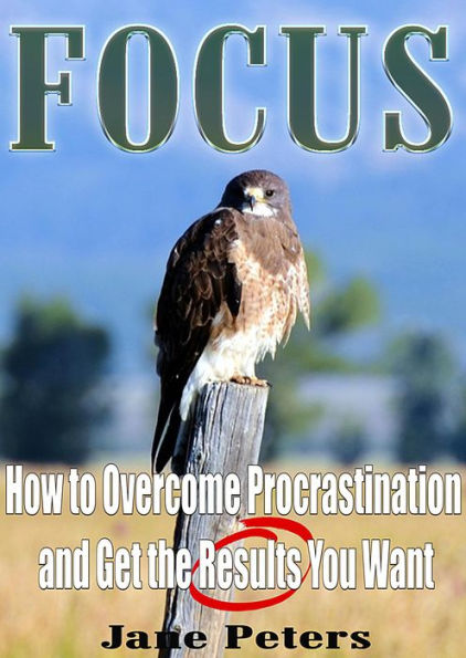 Focus: How to Overcome Procrastination and Get the Results You Want