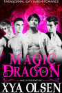 Magic of Dragon (Magic of Four, #1)