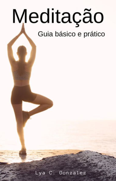 Meditação Guia básico e prático