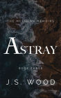 Astray (The Meridian Memoirs, #3)