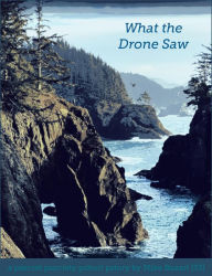 Title: What the Drone Saw, Author: Mike Bozart