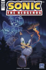 Sonic the Hedgehog #33