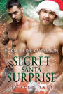 Secret Santa Surprise: Book 28 in the Kindred Tales Series