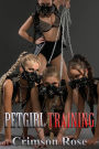 Petgirl Training