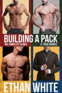 Building a Pack: The Complete Series 4-Pack Bundle
