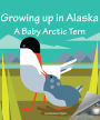 Growing up in Alaska: A Baby Arctic Tern
