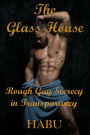 The Glass House: Rough Gay Secrecy in Transparency