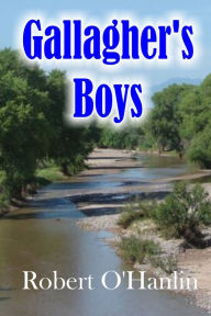 Title: Gallagher's Boys, Author: Robert O' Hanlin