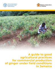 Title: A Guide to Good Agricultural Practices for Commercial Production of Ginger under Field Conditions in Jamaica, Author: Food and Agriculture Organization of the United Nations