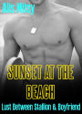 Sunset at the Beach: Lust Between Stallion and Boyfriend