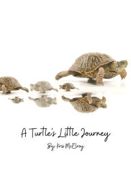 Title: A Turtle's Little Journey, Author: Kris McElroy