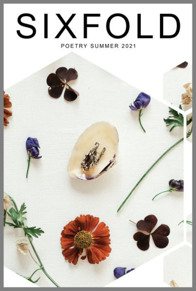 Sixfold Poetry Summer 2021