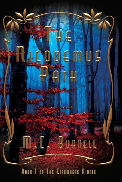 The Nicodemus Path (The Elsewhere Riddle, #1)