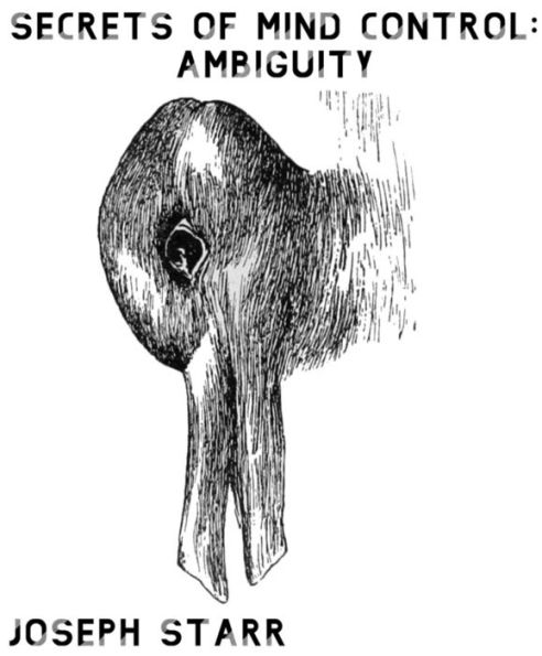 Secrets of Mind Control: Ambiguity