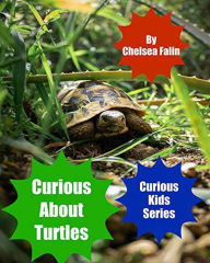 Title: Curious About Turtles (Curious Kids Series, #3), Author: Chelsea Falin