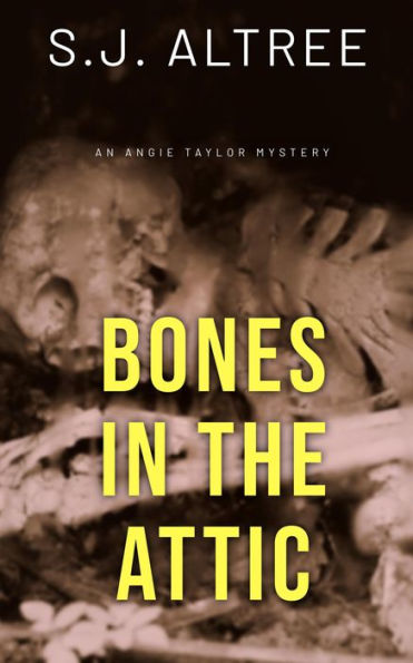 Bones in the Attic (Angie Taylor Mystery, #3)