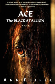 Title: Ace The Black Stallion (Mystery Horse Lover's Series, #1), Author: Ann Feifel