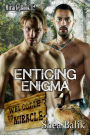 Enticing Enigma (Miracle, #12)