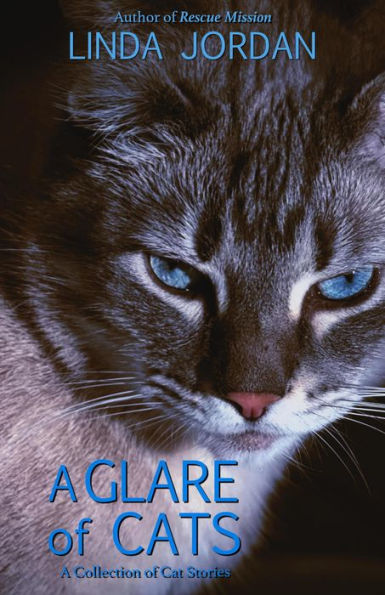 A Glare of Cats: A Collection of Cat Stories