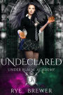 Undeclared (Under Realm Academy, #4)