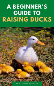Title: A Beginner's Guide To Raising Ducks, Author: Matthew Morrison