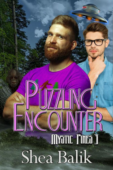 Puzzling Encounter (Mystic Pines, #3)