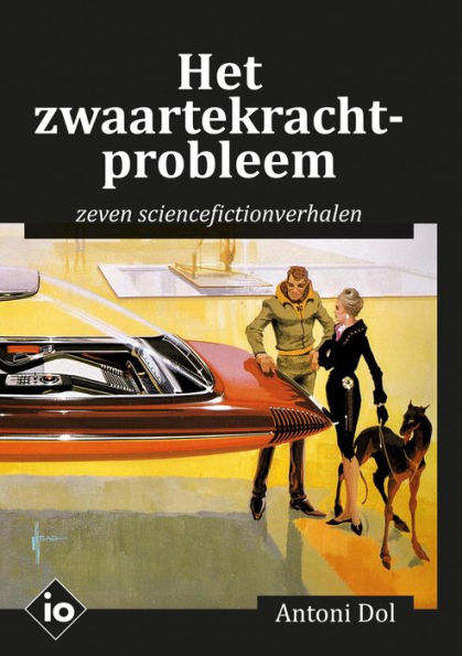 Het zwaartekrachtprobleem