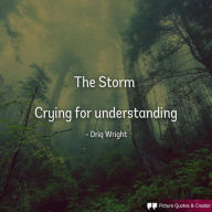 Title: The Storm, Author: Driq Wright