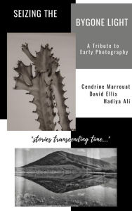 Title: Seizing the Bygone Light: A Tribute to Early Photography, Author: Cendrine Marrouat