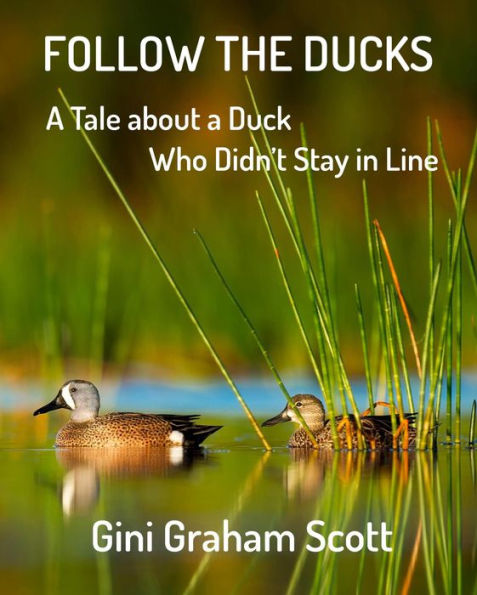 Follow the Ducks