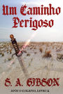 Um Caminho Perigoso (Após o Colapso, #2)