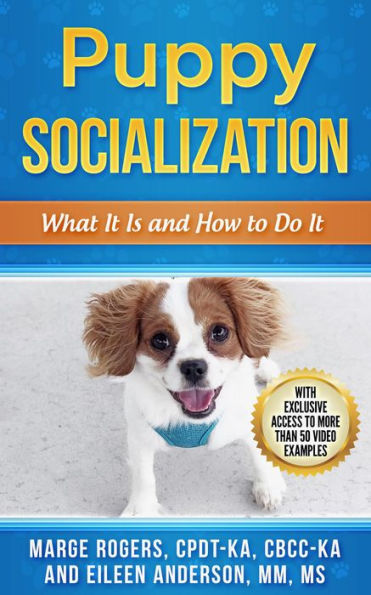 Puppy Socialization: What It Is and How to Do It