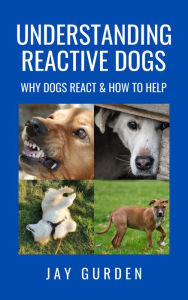 Understanding Reactive Dogs: Why Dogs React & How to Help