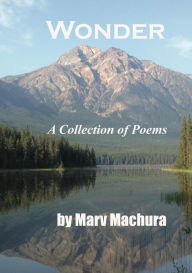 Title: Wonder, Author: Marv Machura