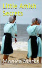 Little Amish Secrets