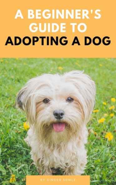 A Beginner's Guide To Adopting A Dog