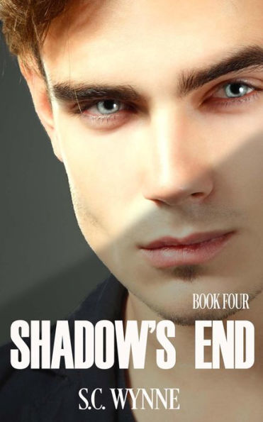 Shadow's End (Psychic Mysteries Series, #4)
