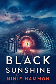 Title: Black Sunshine, Author: Ninie Hammon