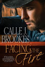 Facing the Fire (Masterson County, #5)