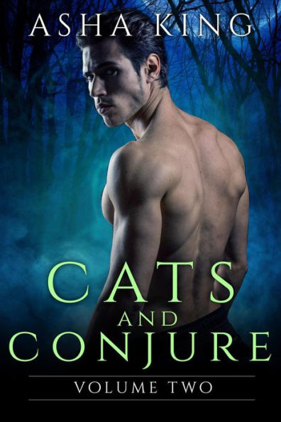 Cats & Conjure Volume Two