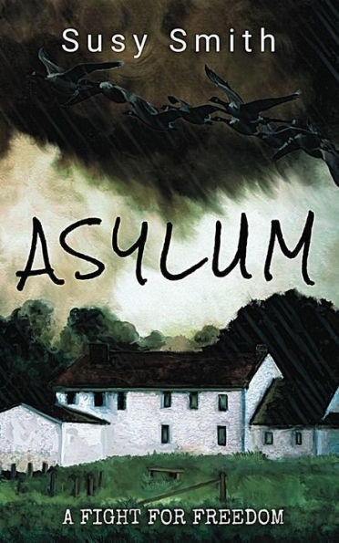 Asylum (Asylum Series, #1)