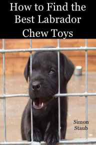 Title: How to Find the Best Labrador Chew Toys (Dog training, #4), Author: Simon Staub