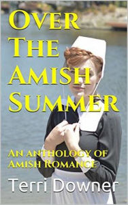 Title: Over The Amish Summer, Author: Terri Downer