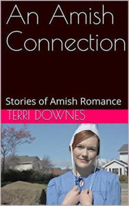 Title: An Amish Connection, Author: Terri Downes