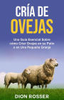 Cría de ovejas: Una guía esencial sobre cómo criar ovejas en su patio o en una pequeña granja