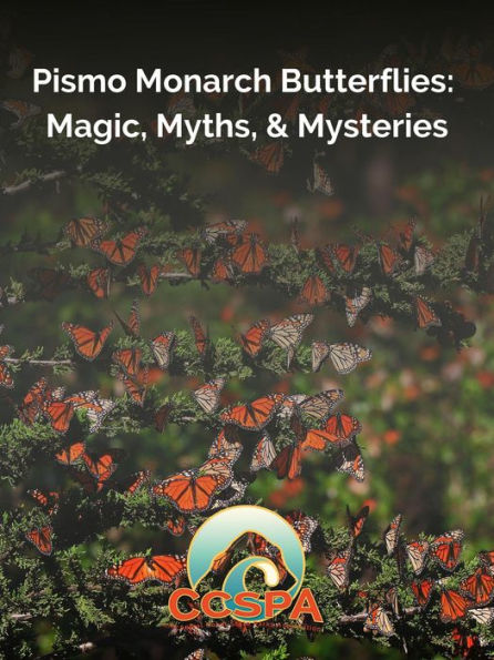 Pismo Monarch Butterflies: Magic, Myths, & Mysteries