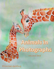 Title: Animals in Photographs, Author: Primrose Golding