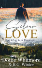 Silver Love (A Silver Love Romance, #1)